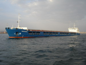Многоцелевое сухогрузное судно дедвейтом 6970 тонн типа «Palmali Trader